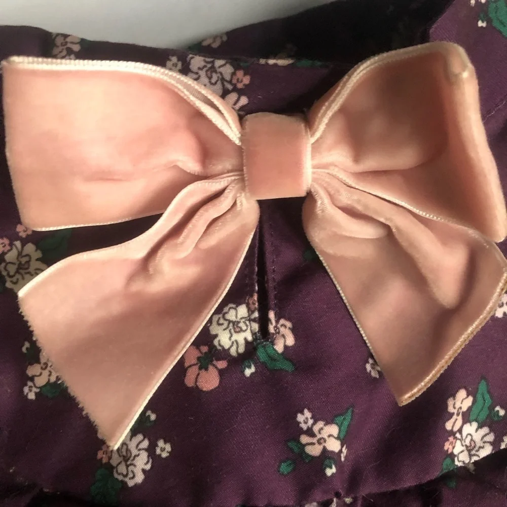 NWOT Bond & Co floral ruffle dog dress M
